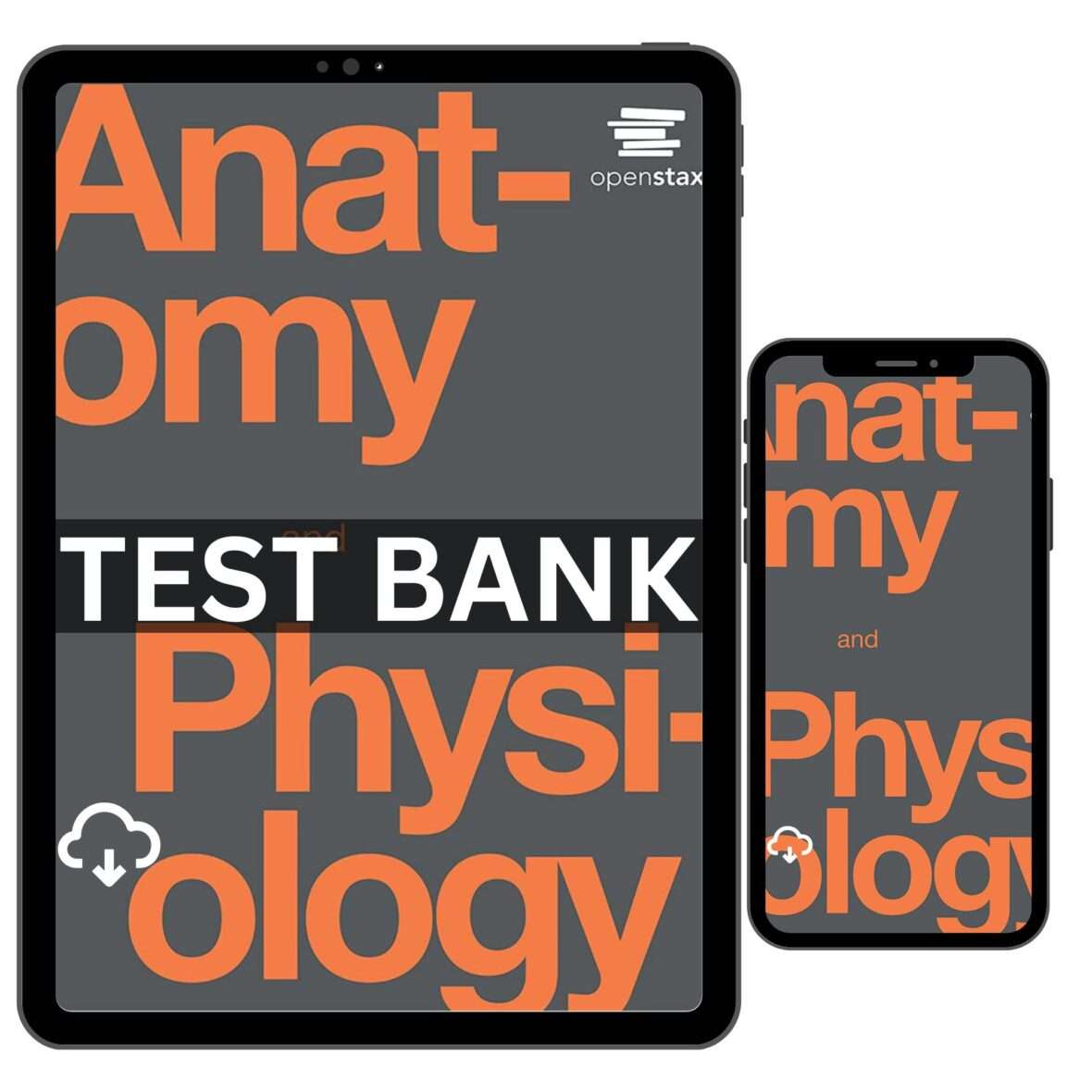 Anatomy and Physiology by OpenStax Test Bank