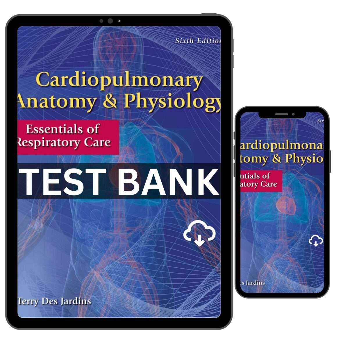 Cardiopulmonary Anatomy & Physiology Respiratory Care 6th Test Bank
