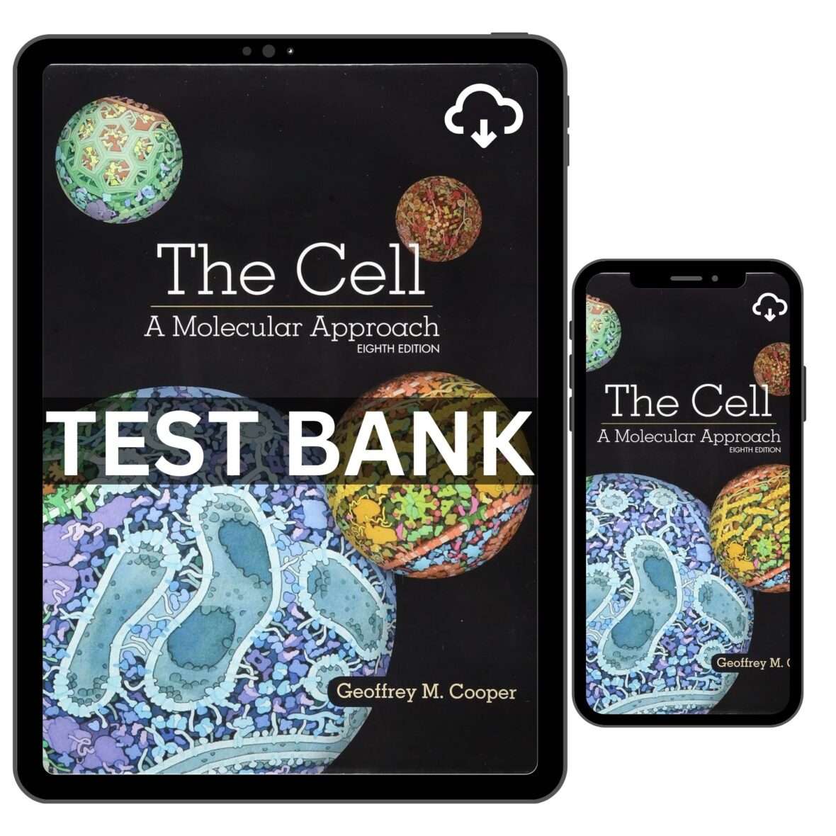 Cell Molecular Approach 8th Edition by Cooper Test Bank