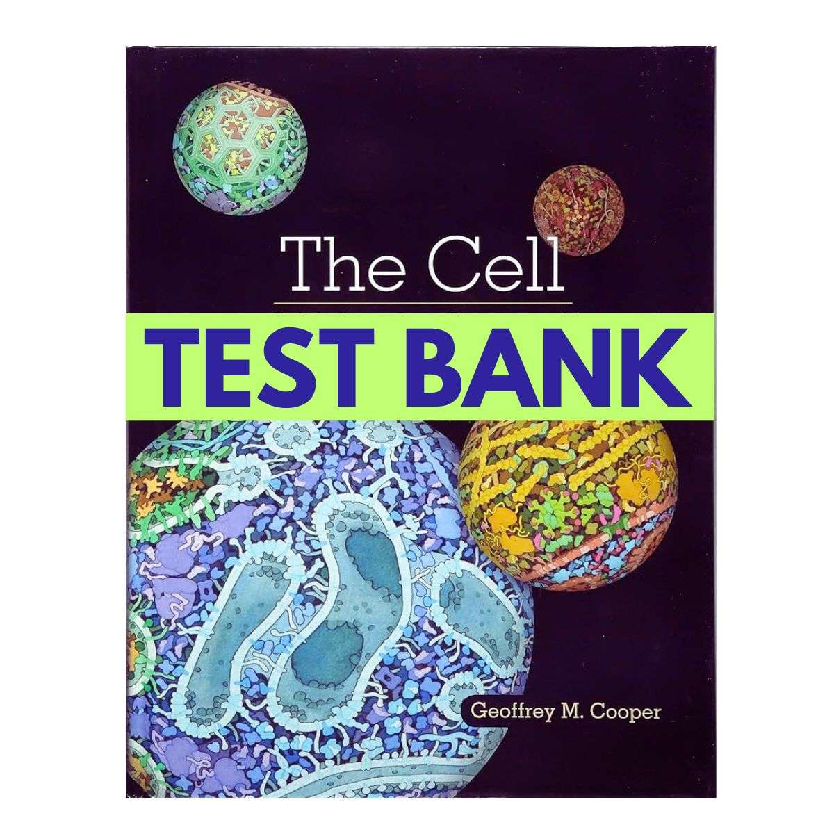 Cell-Molecular-Approach-8th-Edition-by-Cooper-Test-Bank-1.jpg