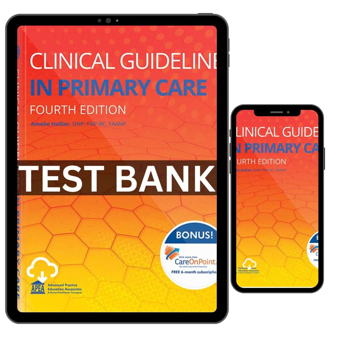 Clinical Guidelines in Primary Care 4th Edition by Hollier Test Bank