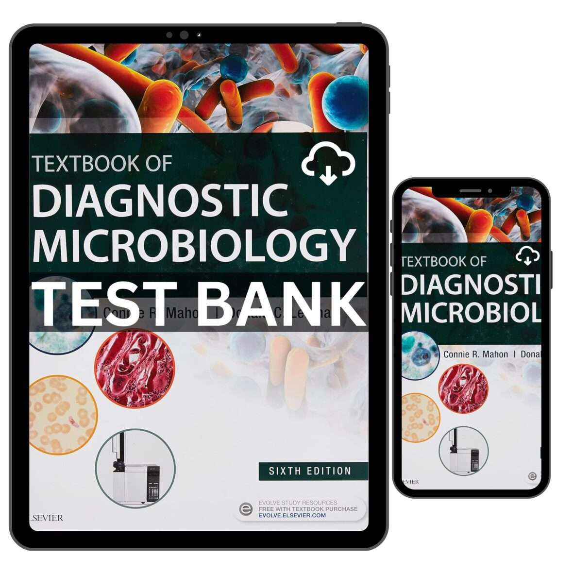 Diagnostic Microbiology 6th Edition Test Bank