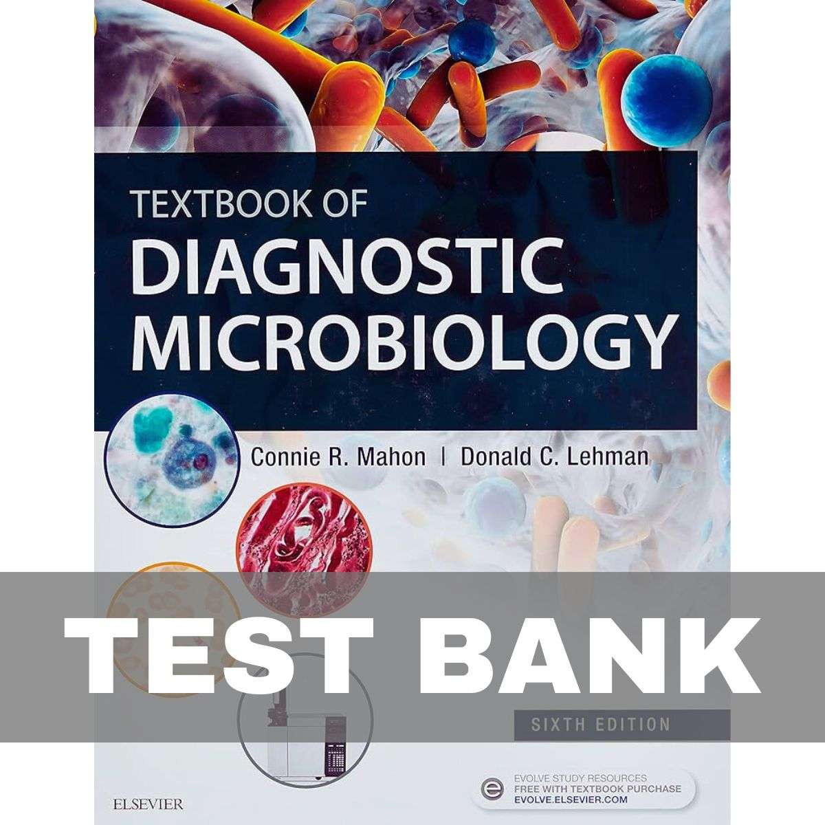 Diagnostic-Microbiology-6th-Edition-Test-Bank-1.jpg