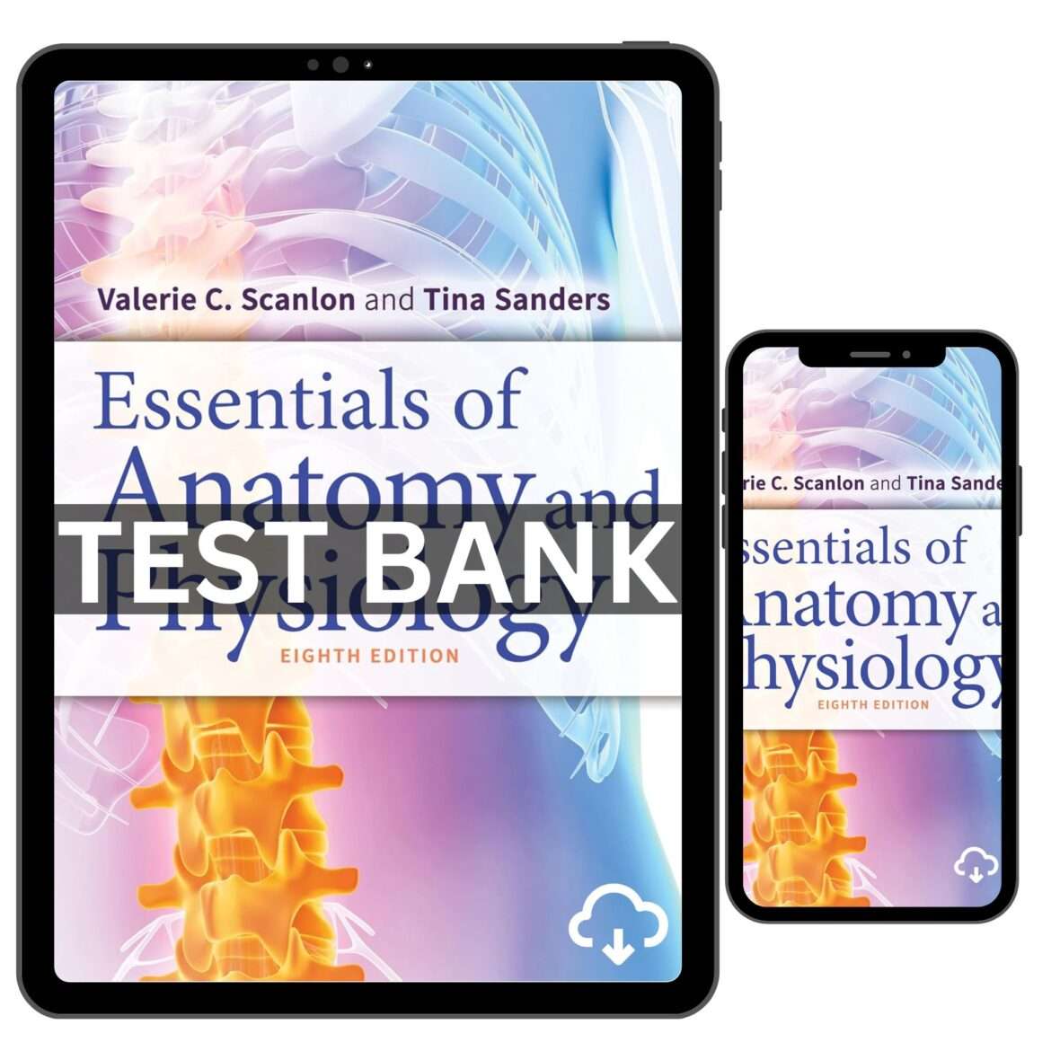 Test Bank For Essentials Of Anatomy And Physiology 8th Edition By Scanlon