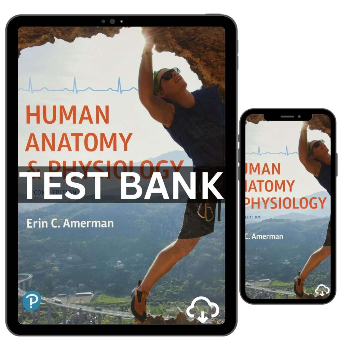 Human Anatomy And Physiology 2nd Test Bank