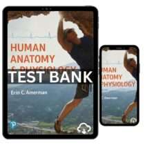 Human Anatomy And Physiology 2nd