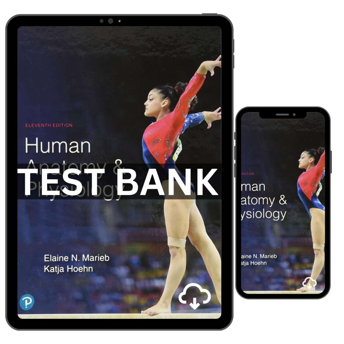 Human Anatomy & Physiology 11th Test Bank