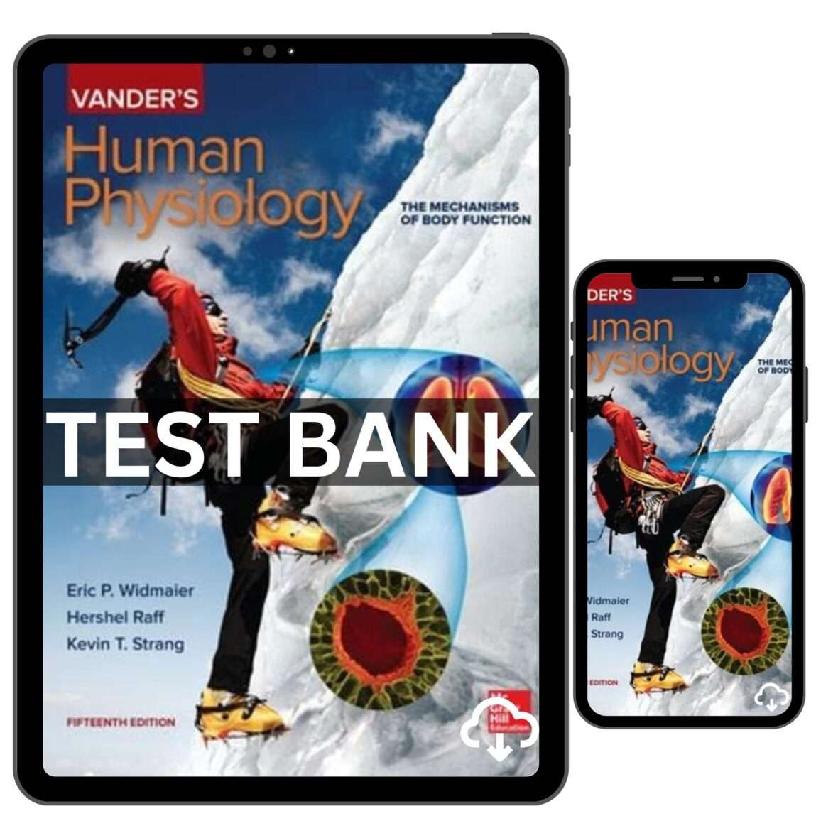 Test Bank for Human Physiology 15th Edition