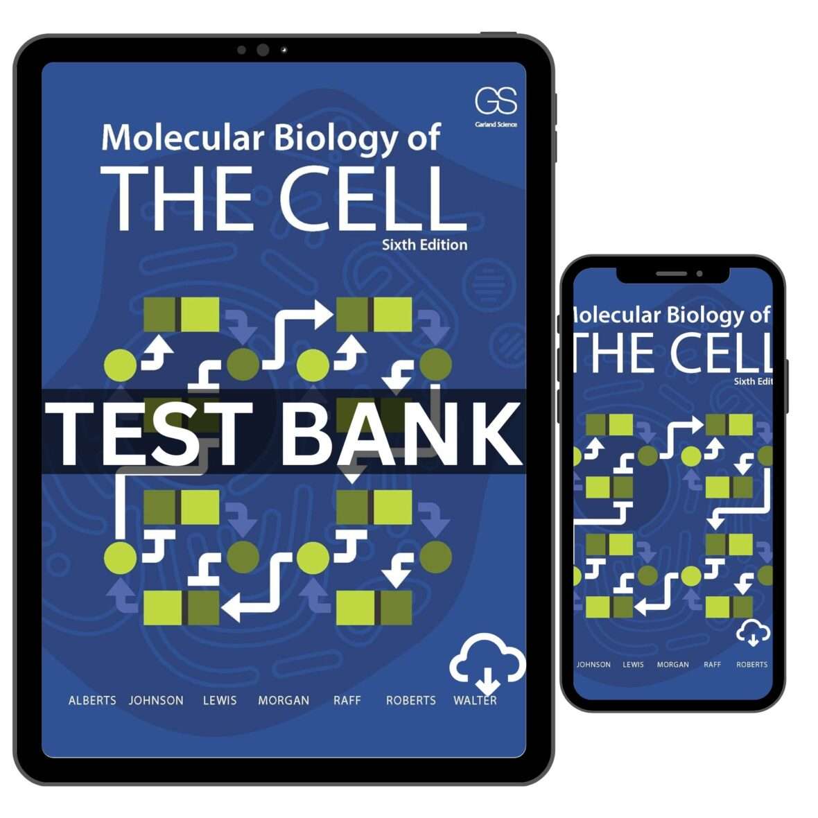 Test Bank for Molecular Biology of the Cell 6th Edition by Alberts