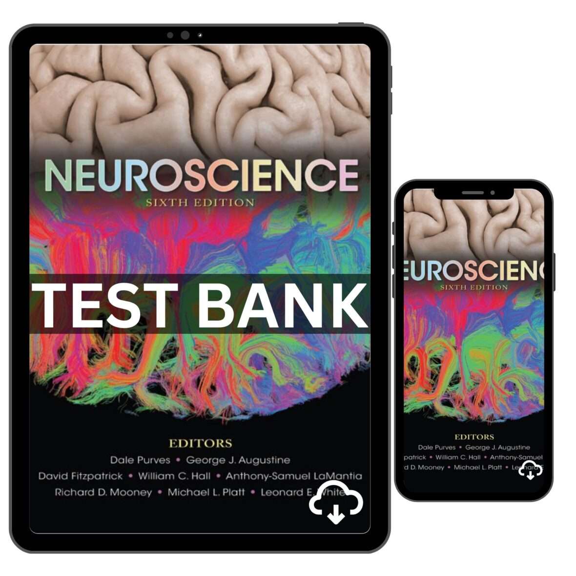 Test Bank Neuroscience 6th Edition – Nursing Practice Questions