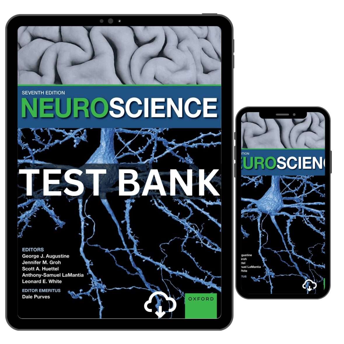 Neuroscience 7th Edition Test Bank