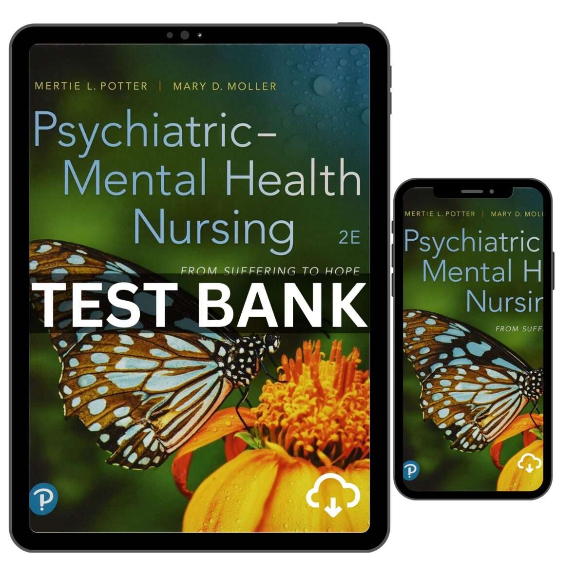 Psychiatric Mental Health Nursing 2nd Edition by Potter Test Bank