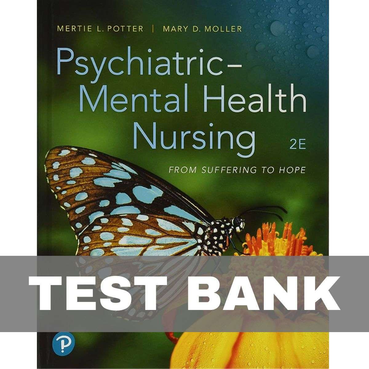 Psychiatric-Mental-Health-Nursing-2nd-Edition-by-Potter-Test-Bank-1.jpg