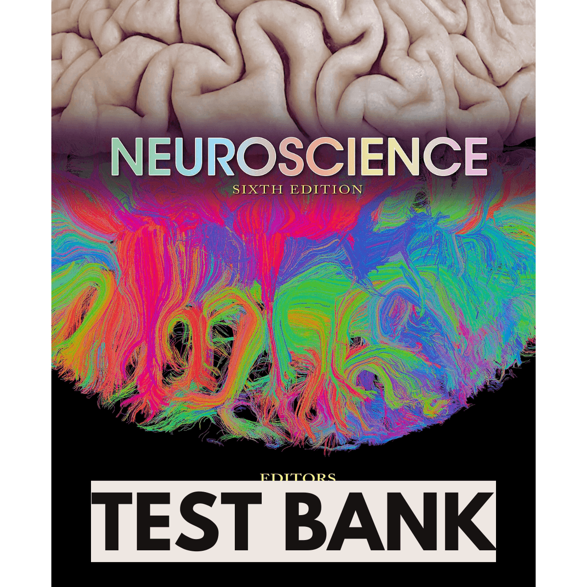 Test-Bank-Neuroscience-6th-Edition-Nursing-Practice-Questions-1.png