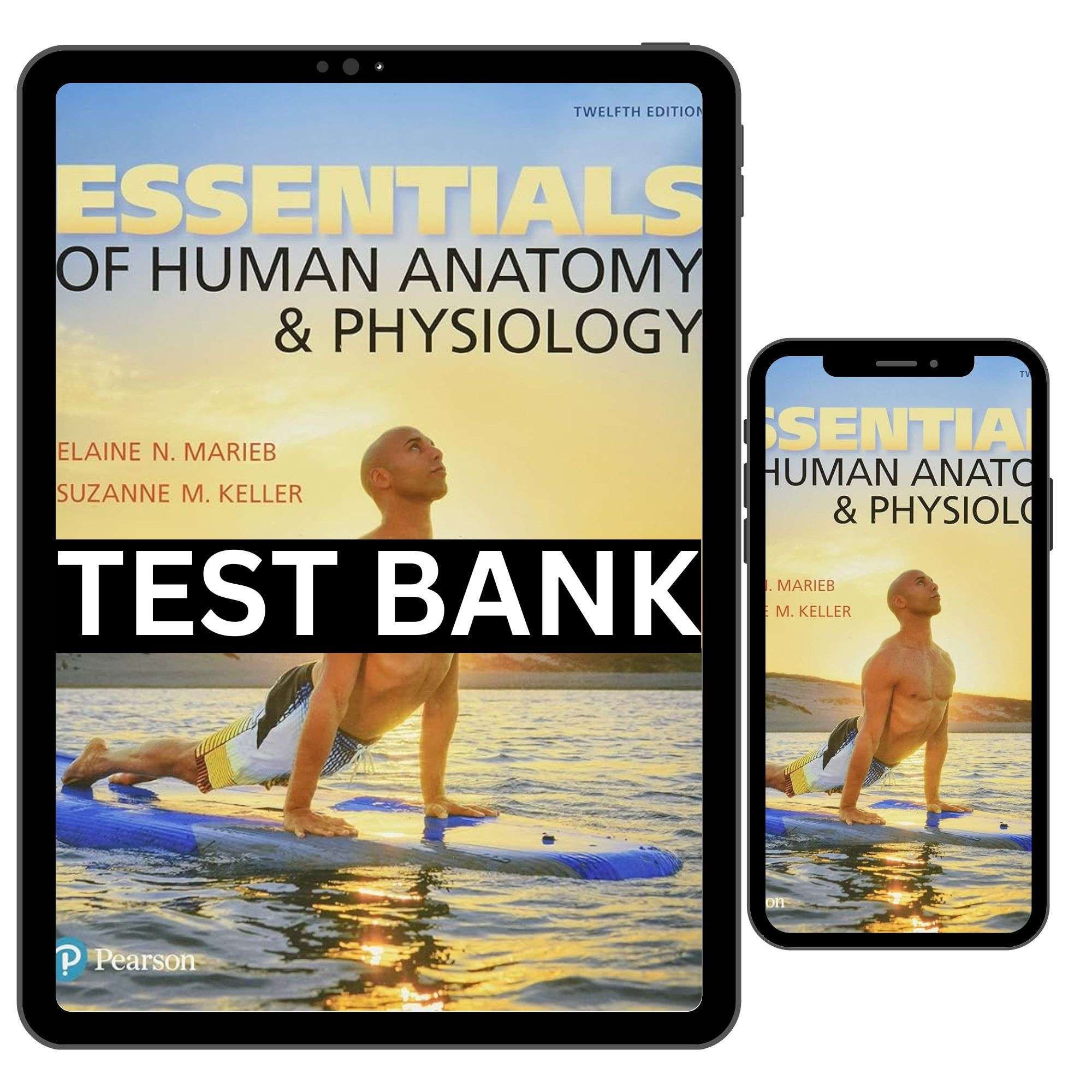 Test-Bank-for-Essentials-Human-Anatomy-and-Physiology-12th-1.jpg