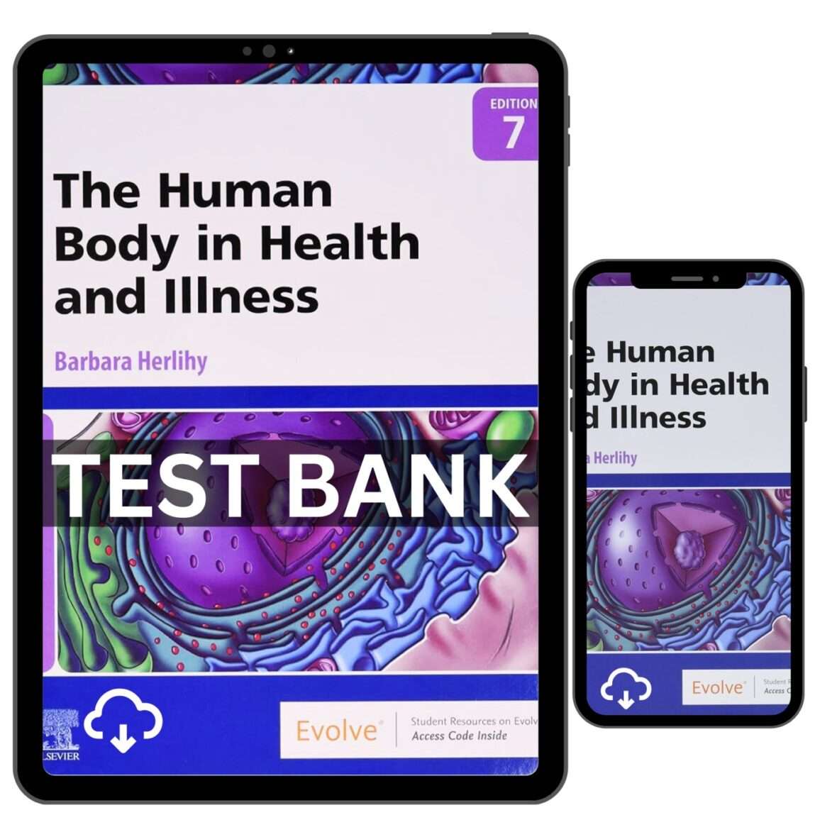 Test Bank for Human Body In Health And Illness 7th Edition