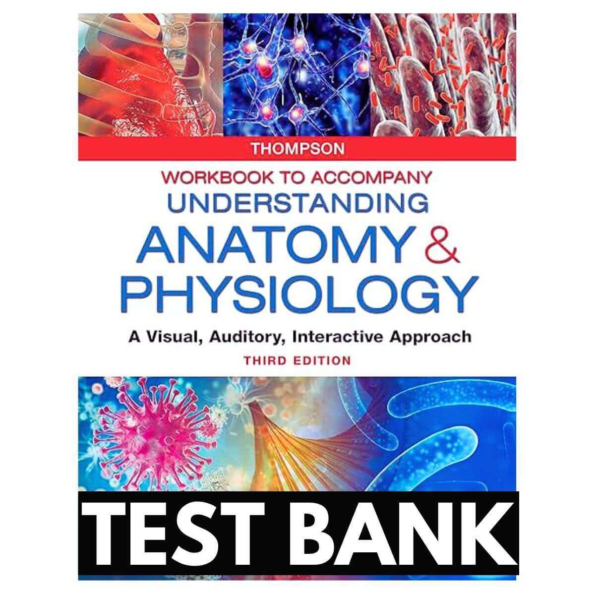 Understanding-Anatomy-And-Physiology-3rd-Edition-1.jpg