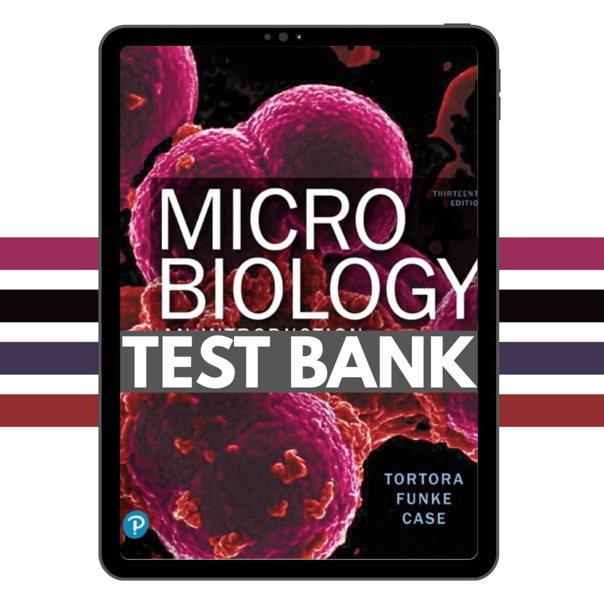 Test Bank for Microbiology, Introduction 13th Edition